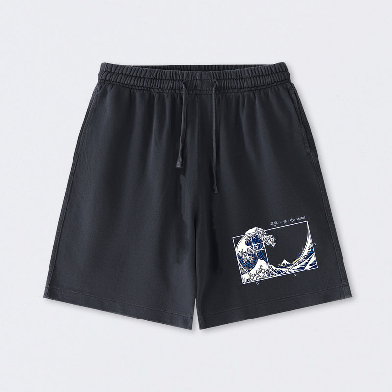 The Great Fibonacci Wave Science Washed Shorts