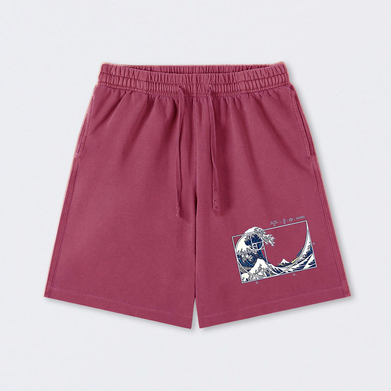 The Great Fibonacci Wave Science Washed Shorts