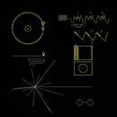 The Voyager Golden Record Washed Shorts