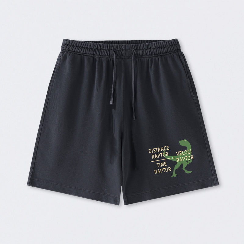 Equations Of Motion Science Velociraptor Washed Shorts