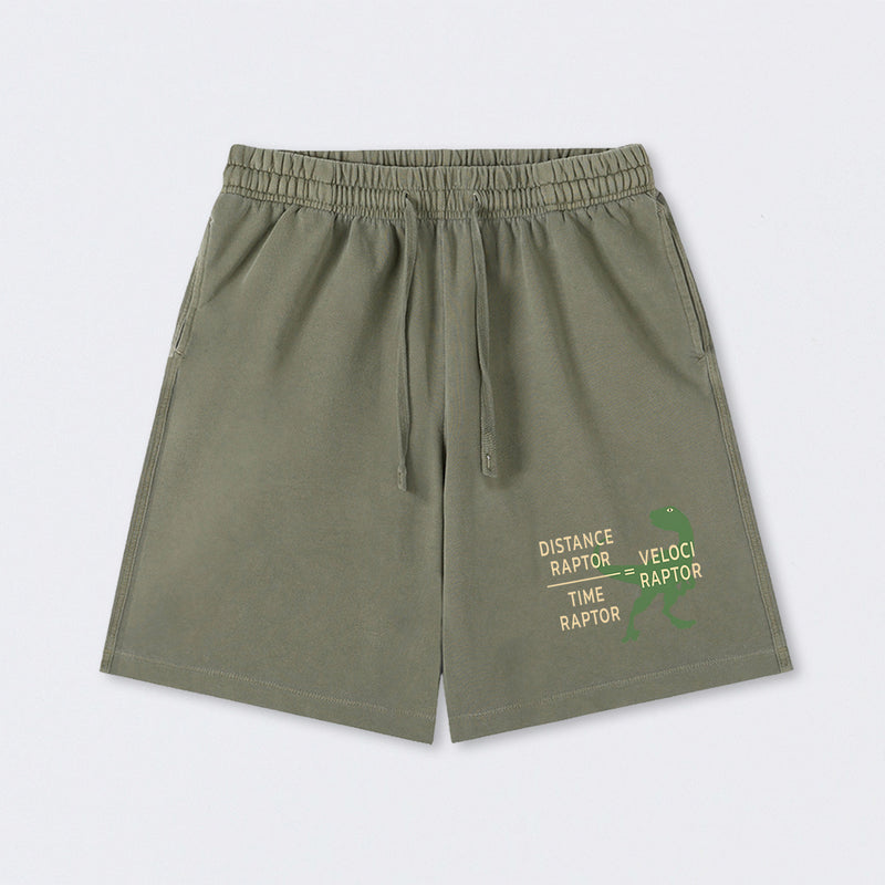 Equations Of Motion Science Velociraptor Washed Shorts