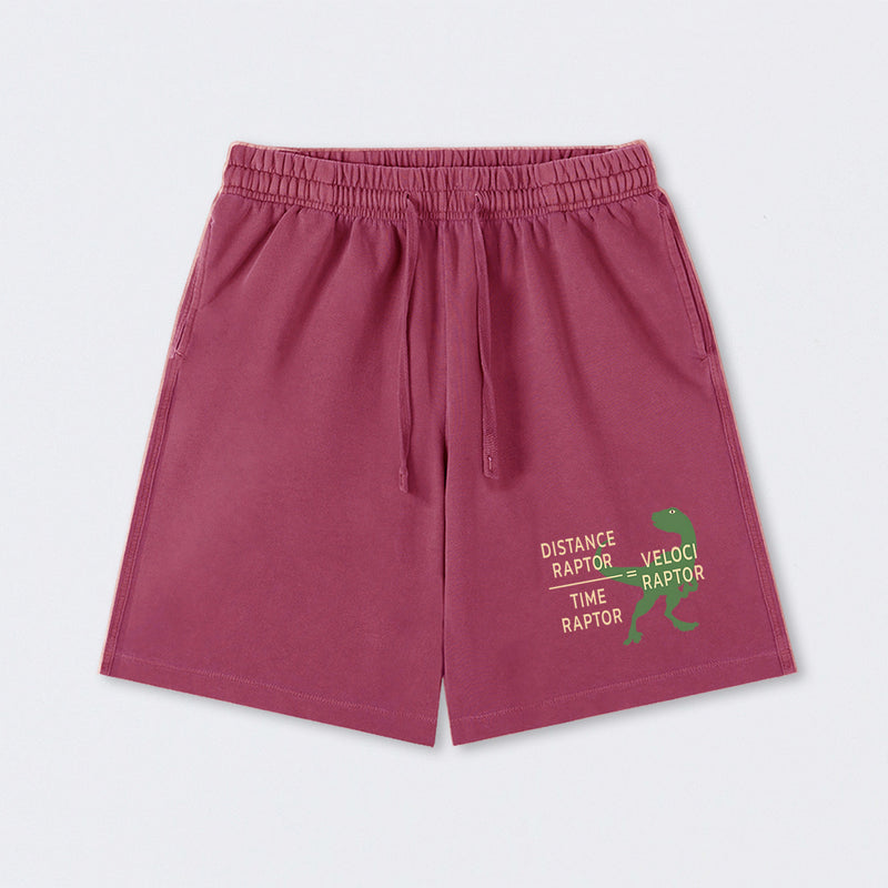 Equations Of Motion Science Velociraptor Washed Shorts