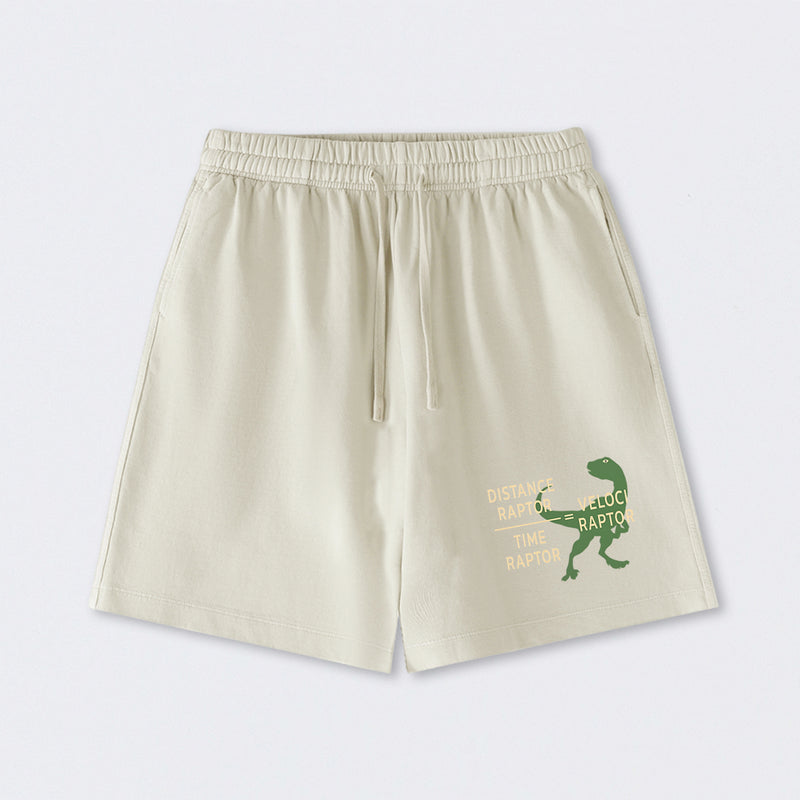 Equations Of Motion Science Velociraptor Washed Shorts