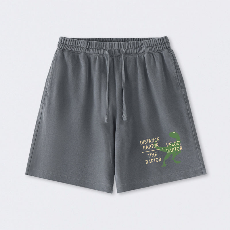 Equations Of Motion Science Velociraptor Washed Shorts