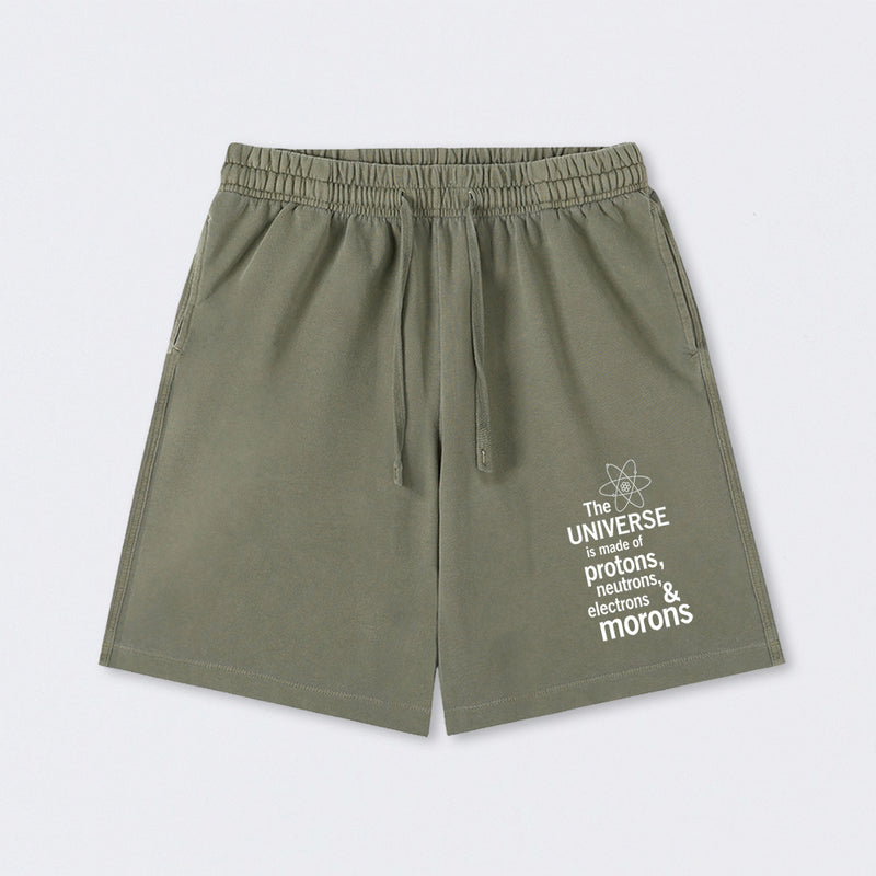 The composition of the universe Science Washed Shorts