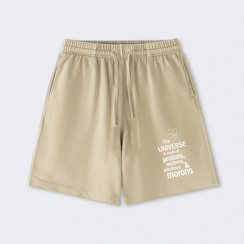 The composition of the universe Science Washed Shorts