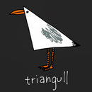 Triangull Washed Shorts