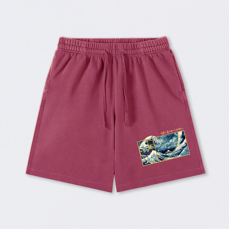 The Great Fibonacci Wave Science Washed Shorts