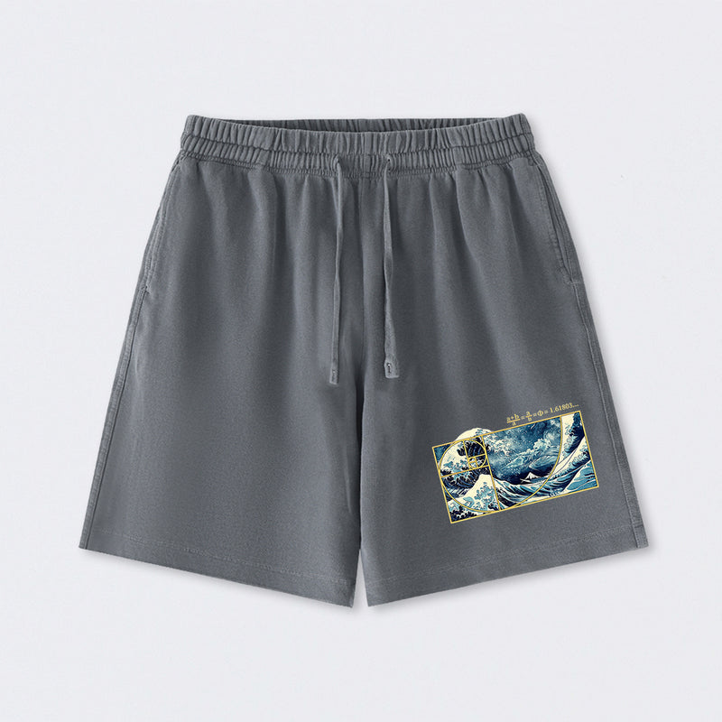 The Great Fibonacci Wave Science Washed Shorts