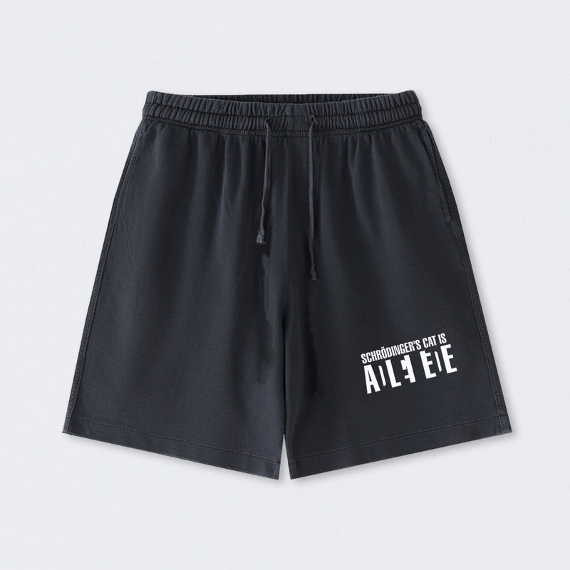 SchrÖdinger's Cat ADLEIAVDE Science Washed Shorts