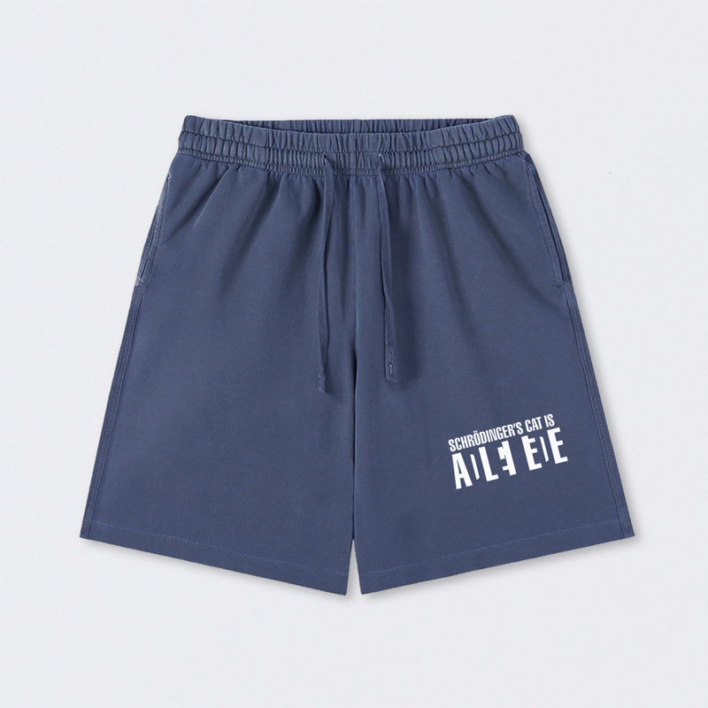 SchrÖdinger's Cat ADLEIAVDE Science Washed Shorts