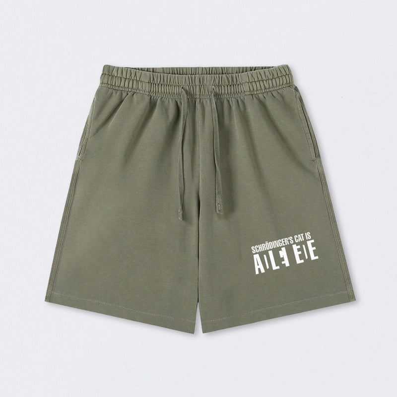 SchrÖdinger's Cat ADLEIAVDE Science Washed Shorts