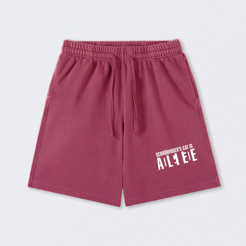 SchrÖdinger's Cat ADLEIAVDE Science Washed Shorts