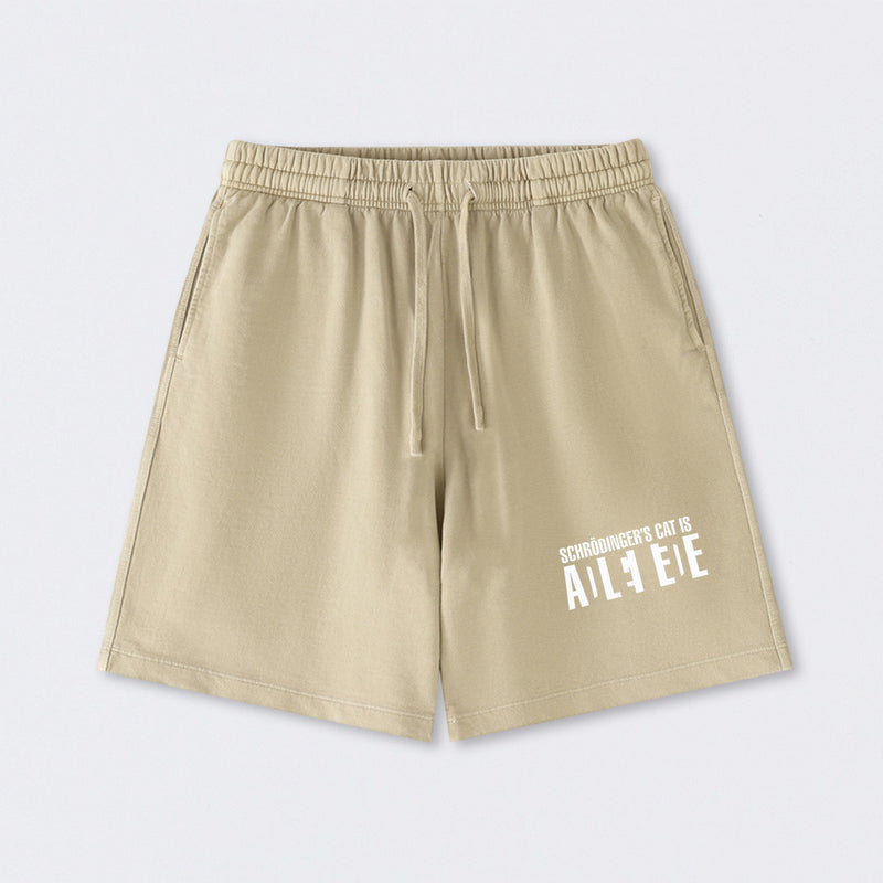 SchrÖdinger's Cat ADLEIAVDE Science Washed Shorts