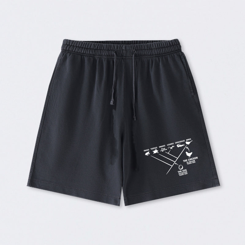 The Chicken And The Egg Washed Shorts