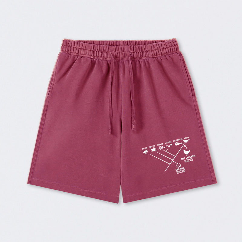 The Chicken And The Egg Washed Shorts