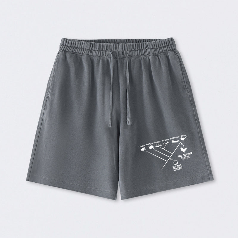 The Chicken And The Egg Washed Shorts