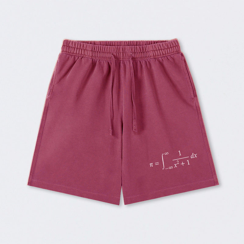 The Constant Number Pi Washed Shorts