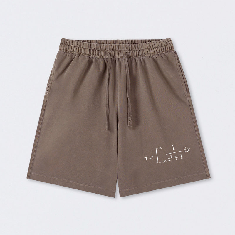 The Constant Number Pi Washed Shorts