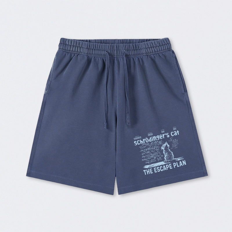 Schrodinger's Cat Escape Plan Interesting Physics Science Washed Shorts