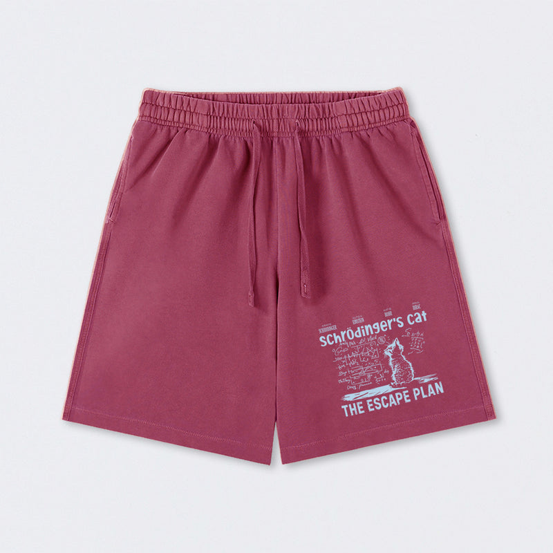 Schrodinger's Cat Escape Plan Interesting Physics Science Washed Shorts