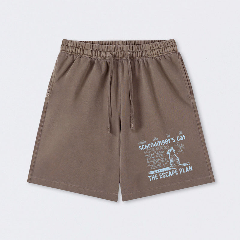 Schrodinger's Cat Escape Plan Interesting Physics Science Washed Shorts