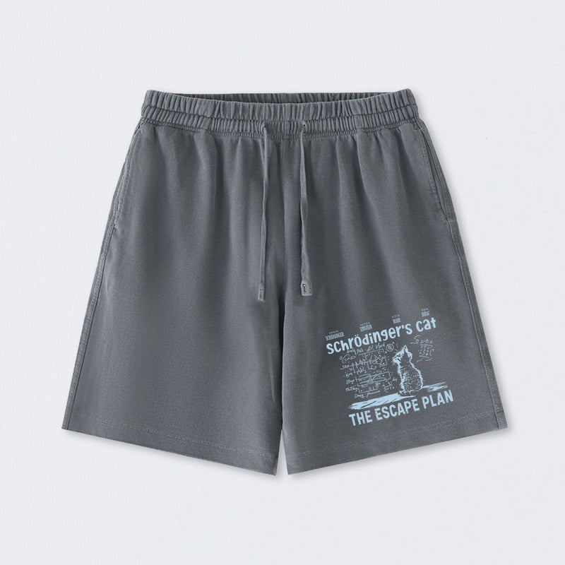 Schrodinger's Cat Escape Plan Interesting Physics Science Washed Shorts