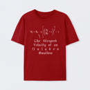 The Airspeed Velocity of an Unladen Swallow T-Shirt