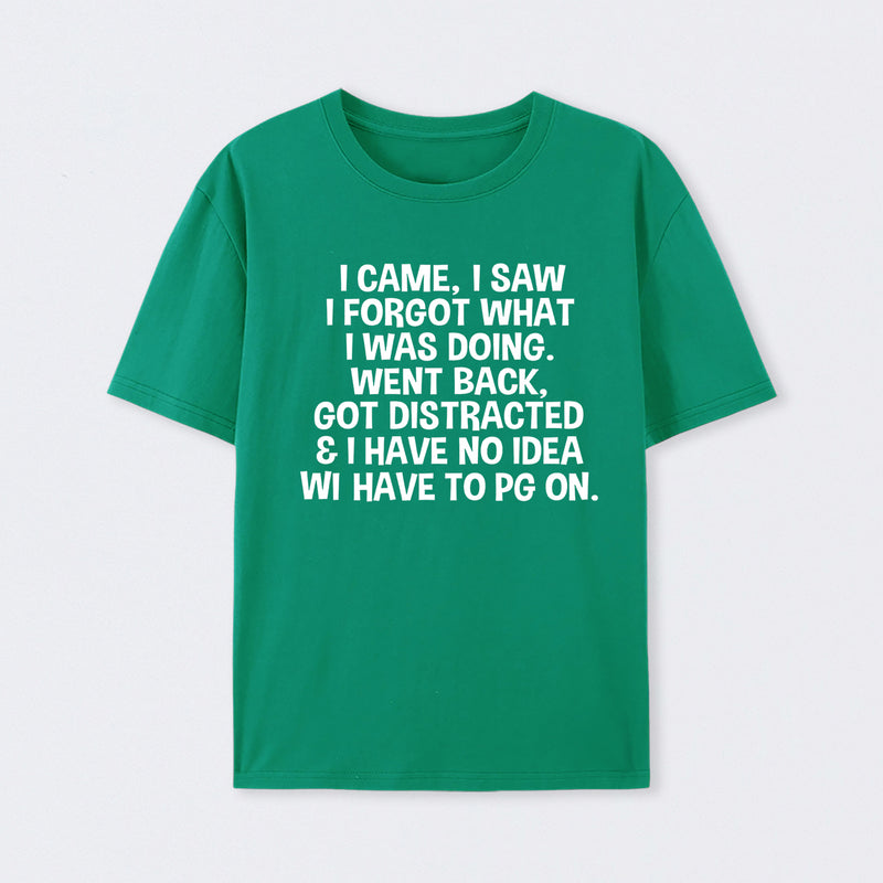 I Came I Saw I Forgot What I Was Doing Geek T-Shirt