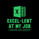 Excel-Lent At My Job T-Shirt