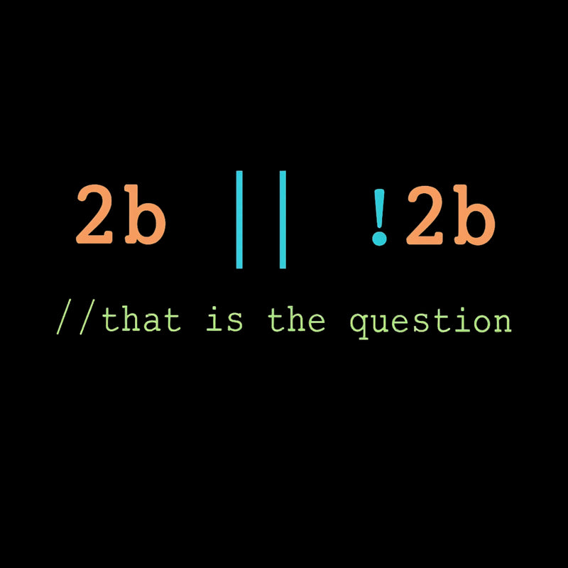 2B or Not 2B That is the Question T-Shirt