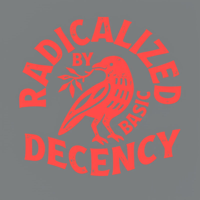 Radicalized By Basic Decency Feminist T-Shirt